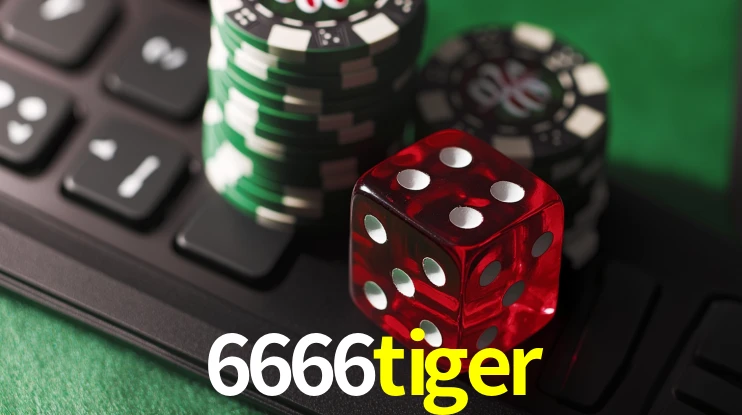 Responsive Design 6666tiger